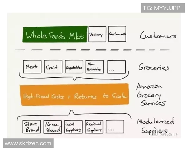 北京排球队中路突破的秘密与战术解析深度探讨