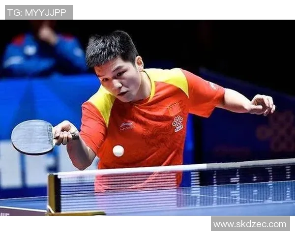 南京乒乓球队技术深度解析与训练方法探讨