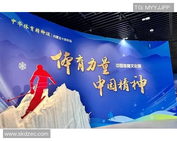 杭州乒乓球队的奋斗历程与辉煌成就全景回顾