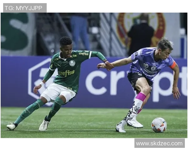 足球明星品牌签约费揭秘背后的商业价值与市场影响分析